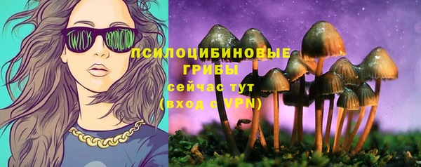 2c-b Аркадак