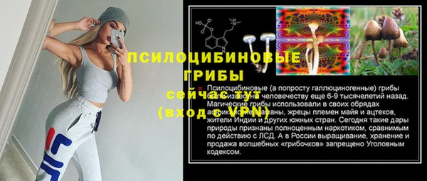 2c-b Аркадак